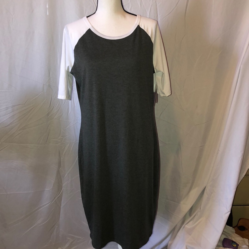 NWT LulaRoe Julia dress